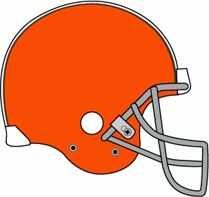 Cleveland Browns 2006-2014 Helmet Logo fabric transfer